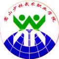 嵩山少林武術(shù)職業(yè)學(xué)院