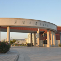 南開大學濱海學院
