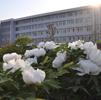 山東科技大學(xué)泰山科技學(xué)院