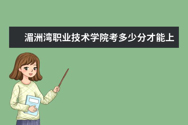 湄洲灣職業(yè)技術(shù)學(xué)院考多少分才能上