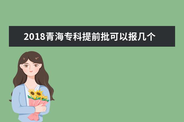 2018青海專科提前批可以報幾個學校