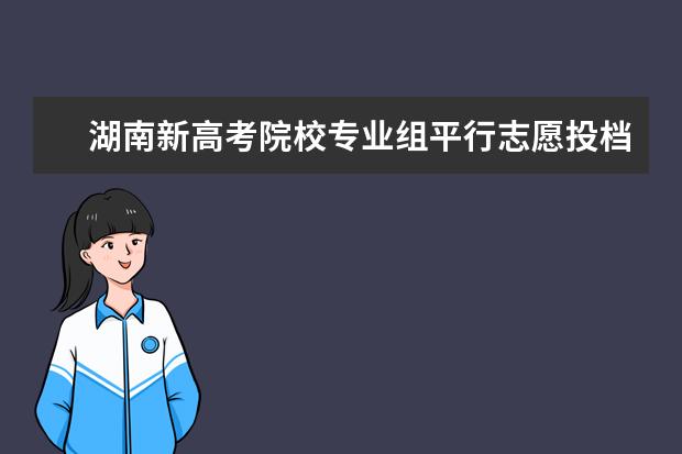 湖南新高考院校專業組平行志愿投檔規則?