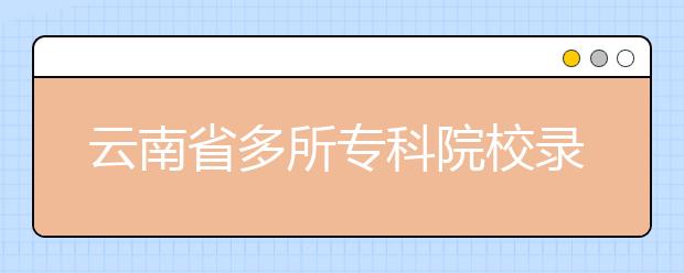云南省多所專科院校錄取線超本科