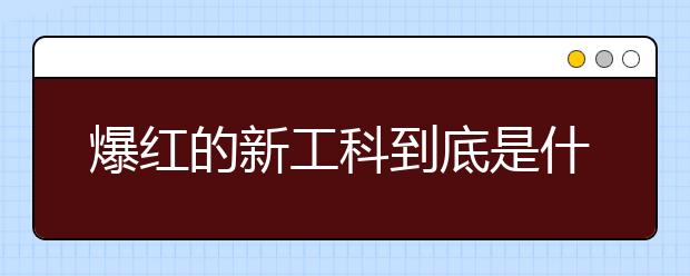 爆紅的新工科到底是什么