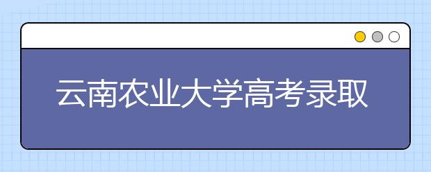 云南農業大學高考錄取線大幅度超出控制線