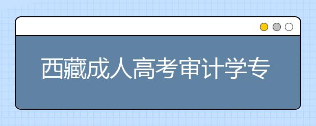 西藏成人高考審計學專業就業前景怎么樣