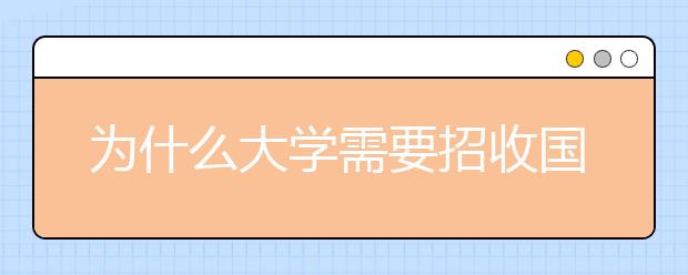 為什么大學需要招收國際研究生