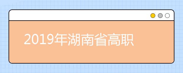2019年湖南省高職專科批藝術類第一次征集志愿投檔分數線