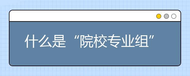 什么是“院校專業(yè)組”