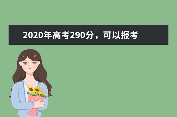 2020年高考290分，可以報考哪些大學？