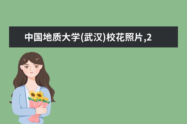 中國地質大學(武漢)校花照片,2021年中國地質大學(武漢)校花是誰(多圖)
