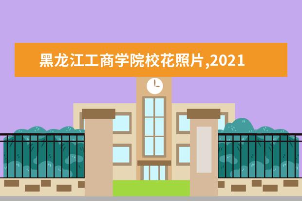 黑龍江工商學院校花照片,2021年黑龍江工商學院校花是誰(多圖)