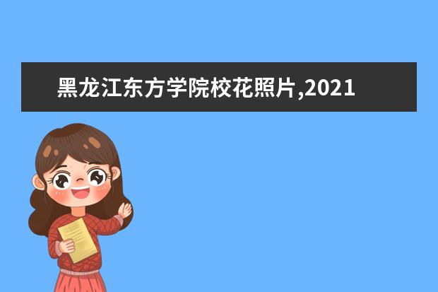 黑龍江東方學院校花照片,2021年黑龍江東方學院校花是誰(多圖)