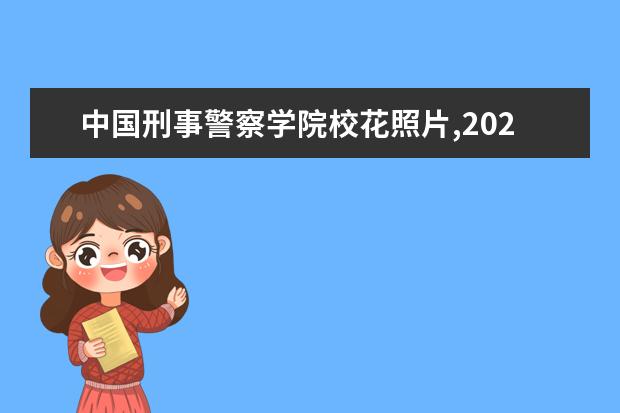 中國刑事警察學院校花照片,2021年中國刑事警察學院校花是誰(多圖)