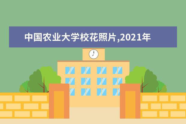 中國農業大學?；ㄕ掌?2021年中國農業大學?；ㄊ钦l(多圖)