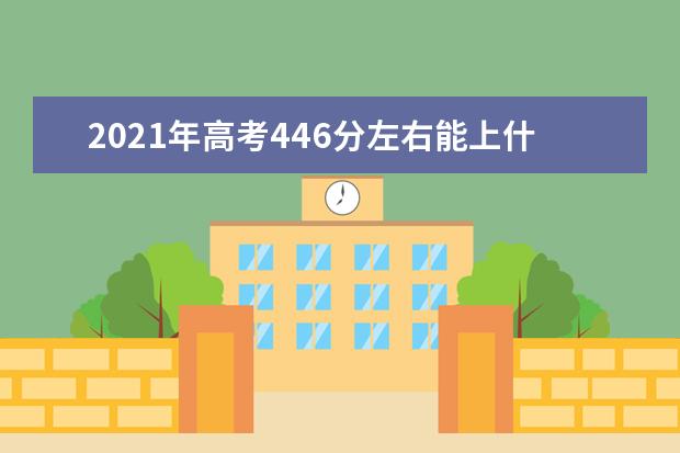 2021年高考446分左右能上什么大學(100所)