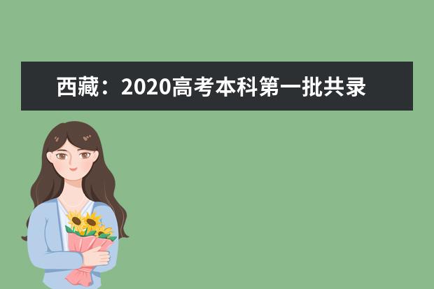 西藏：2020高考本科第一批共錄取考生3711人