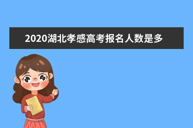 2020湖北孝感高考報名人數是多少