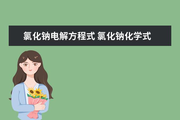 氯化鈉電解方程式 氯化鈉化學式