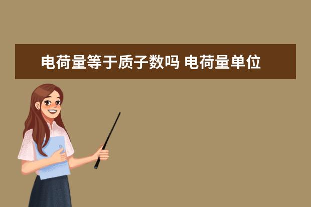電荷量等于質(zhì)子數(shù)嗎 電荷量單位