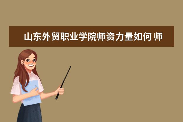 山東外貿(mào)職業(yè)學院師資力量如何 師資水平怎么樣