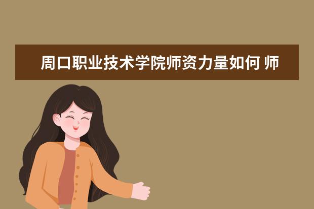 周口職業(yè)技術學院師資力量如何 師資水平怎么樣