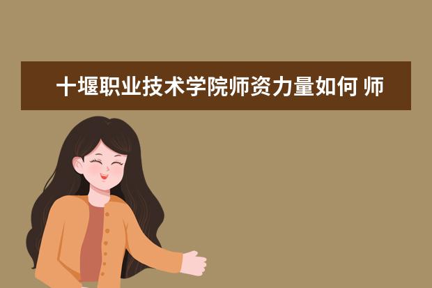 十堰職業技術學院師資力量如何 師資水平怎么樣