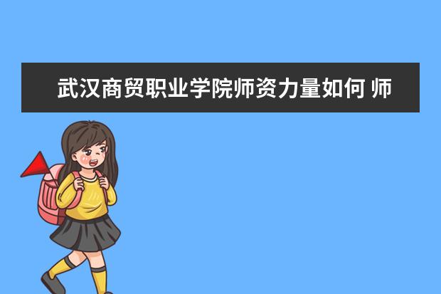 武漢商貿職業學院師資力量如何 師資水平怎么樣