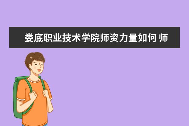 婁底職業(yè)技術(shù)學(xué)院師資力量如何 師資水平怎么樣