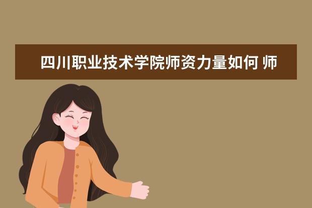 四川職業技術學院師資力量如何 師資水平怎么樣