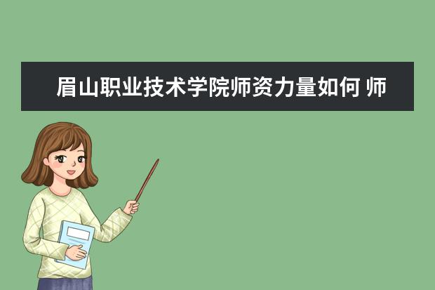 眉山職業技術學院師資力量如何 師資水平怎么樣