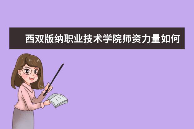 西雙版納職業技術學院師資力量如何 師資水平怎么樣