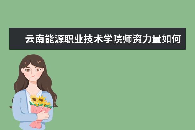 云南能源職業技術學院師資力量如何 師資水平怎么樣