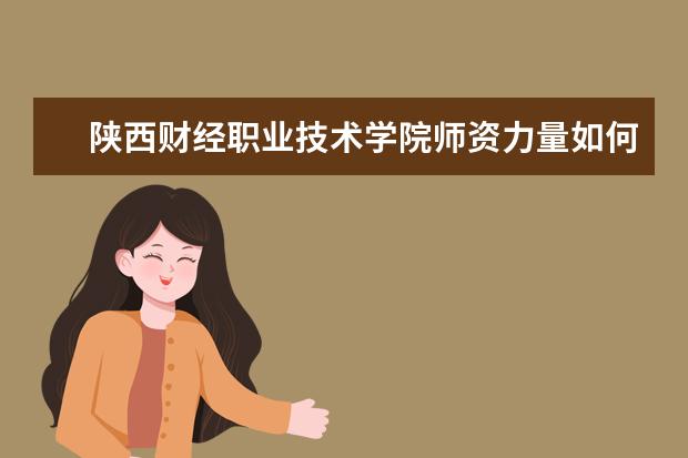陜西財經職業技術學院師資力量如何 師資水平怎么樣