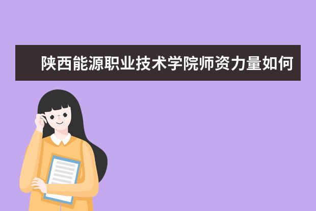 陜西能源職業技術學院師資力量如何 師資水平怎么樣