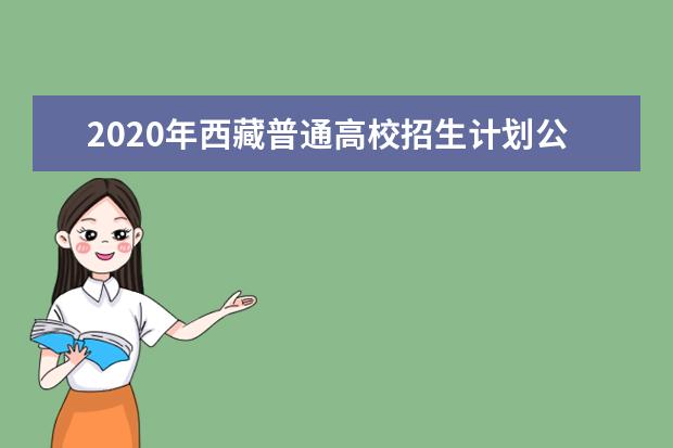 2020年西藏普通高校招生計劃公布