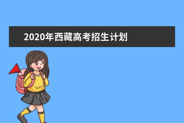 2020年西藏高考招生計(jì)劃